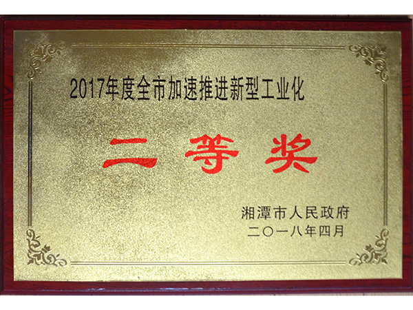 全市加速推進(jìn)新型工業(yè)化二等獎