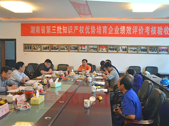 熱烈慶祝湘潭恒欣順利通過&ldquo;湖南省優(yōu)勢培育企業(yè)&rdquo;項目驗收